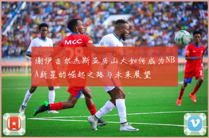 谢伊吉尔杰斯亚历山大如何成为NBA新星的崛起之路与未来展望