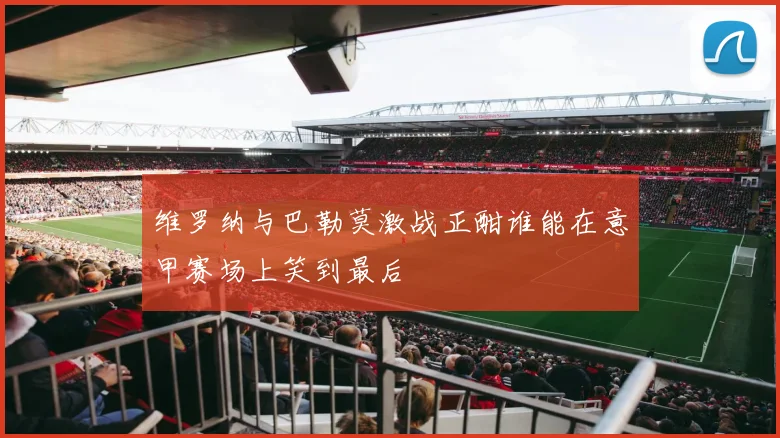 维罗纳与巴勒莫激战正酣谁能在意甲赛场上笑到最后