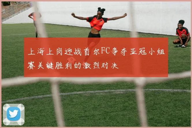 上海上岗迎战首尔FC争夺亚冠小组赛关键胜利的激烈对决