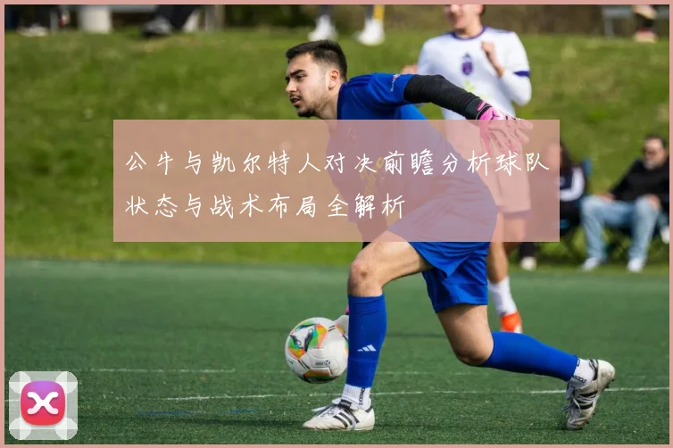 公牛与凯尔特人对决前瞻分析球队状态与战术布局全解析