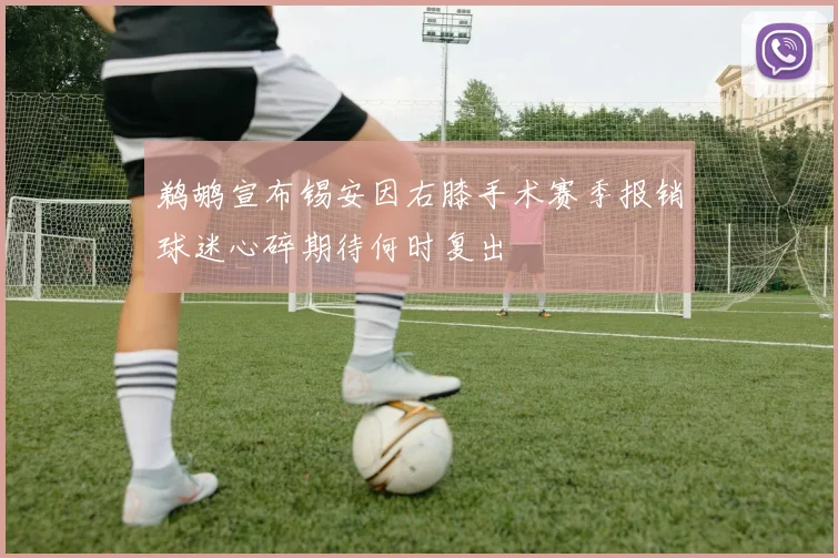 鹈鹕宣布锡安因右膝手术赛季报销球迷心碎期待何时复出