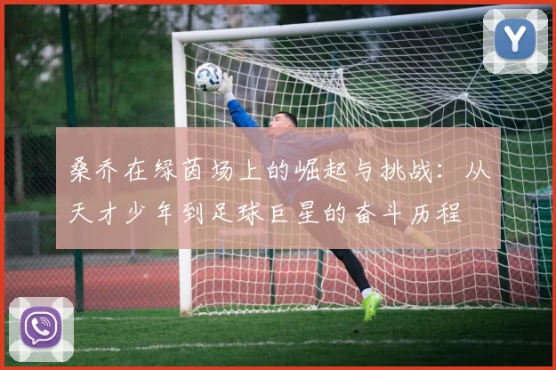 桑乔在绿茵场上的崛起与挑战：从天才少年到足球巨星的奋斗历程