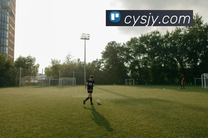 EMC易倍服务体系